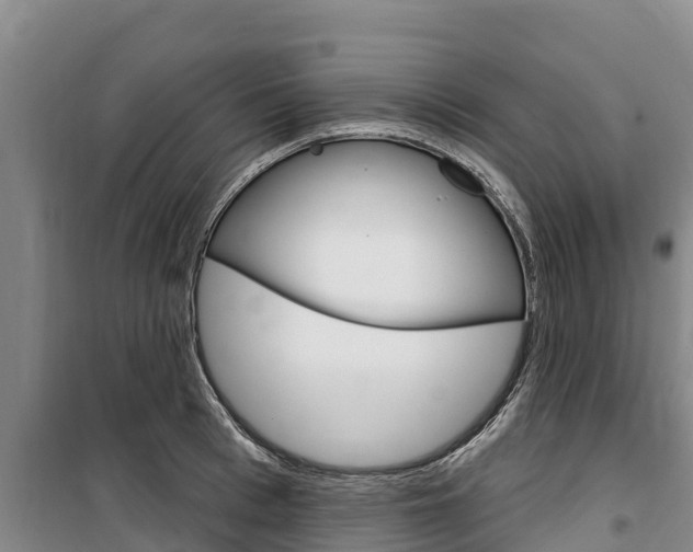 X0000100360993200806060819