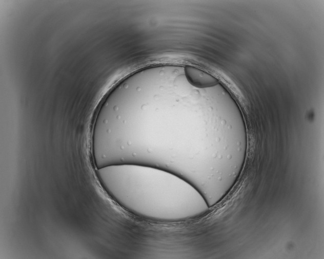 X0000100360994200806060819