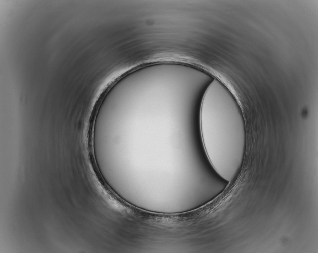 X0000100360995200806060819