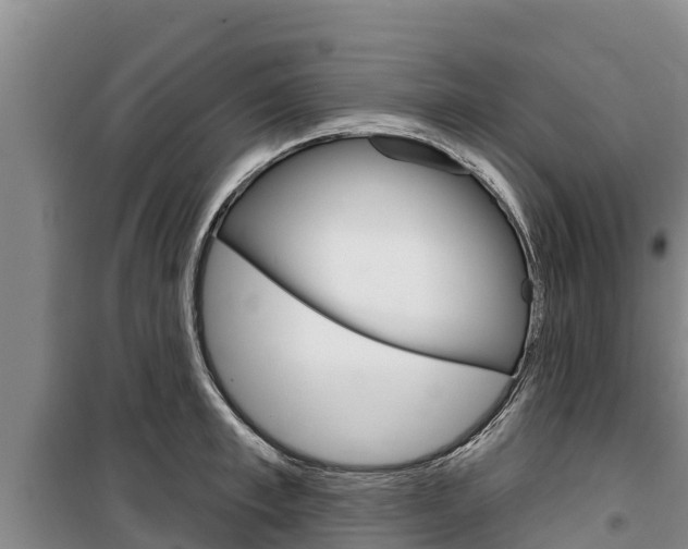 X0000100360997200806060819