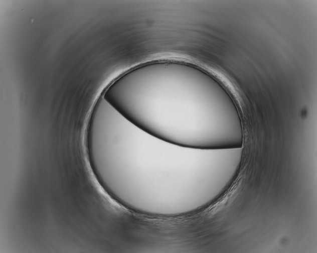 X0000100360999200806060819