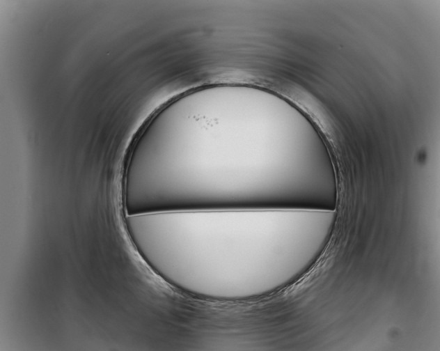 X0000100361000200806060819