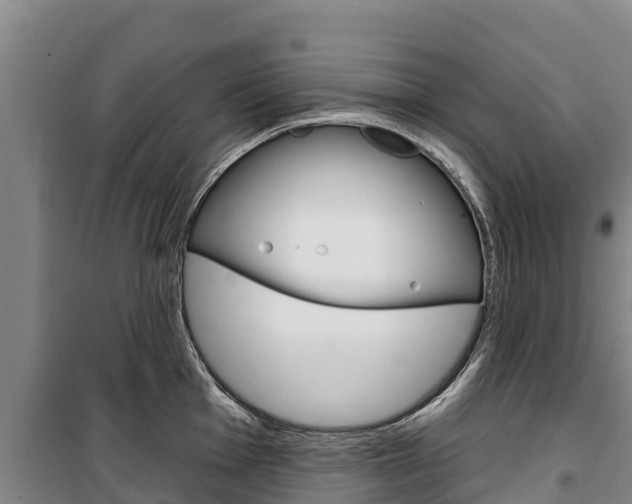 X0000100361001200806060819