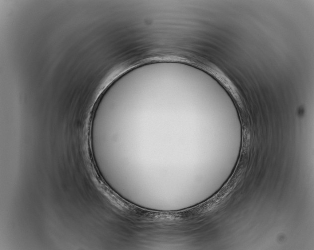 X0000100361002200806060819