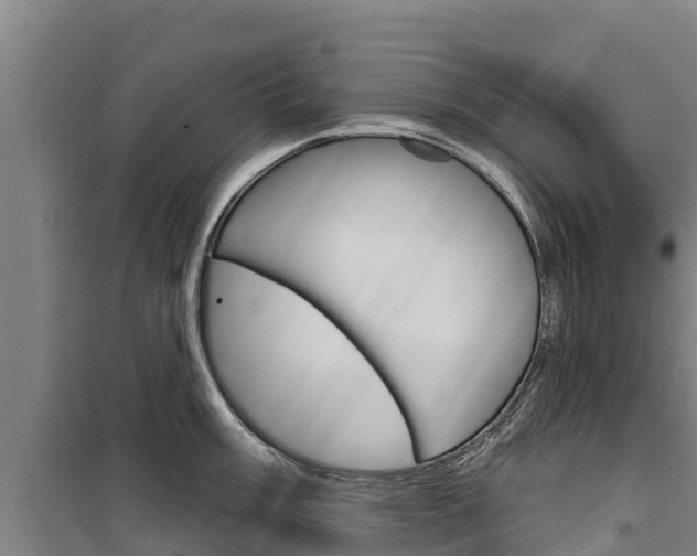 X0000100361003200806060819
