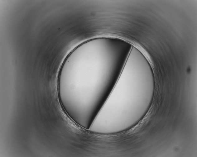 X0000100361004200806060819