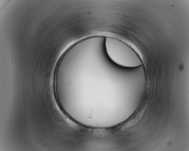 X0000100361007200806060819
