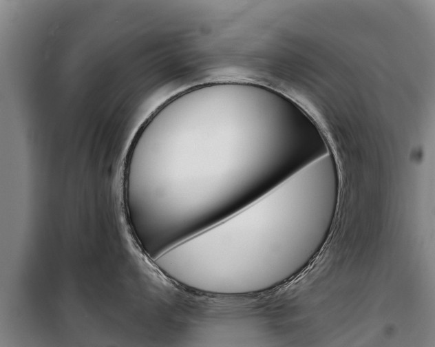 X0000100361008200806060819