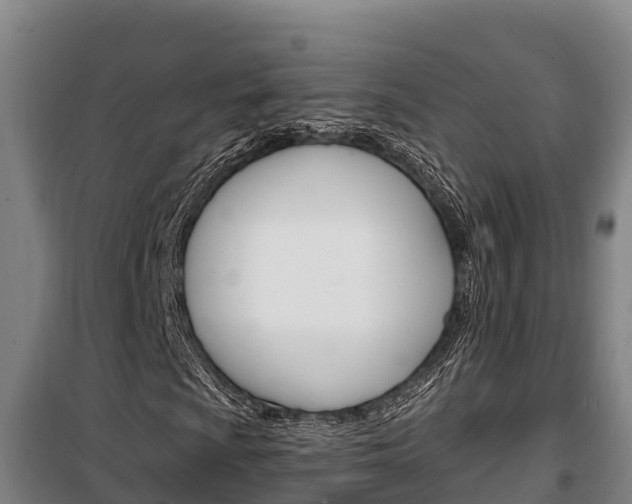 X0000100361009200806060818