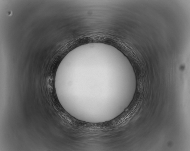 X0000100361010200806060818