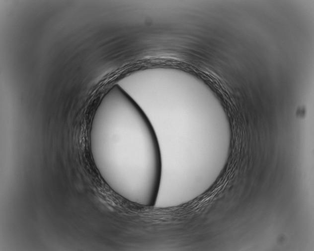 X0000100361014200806060818