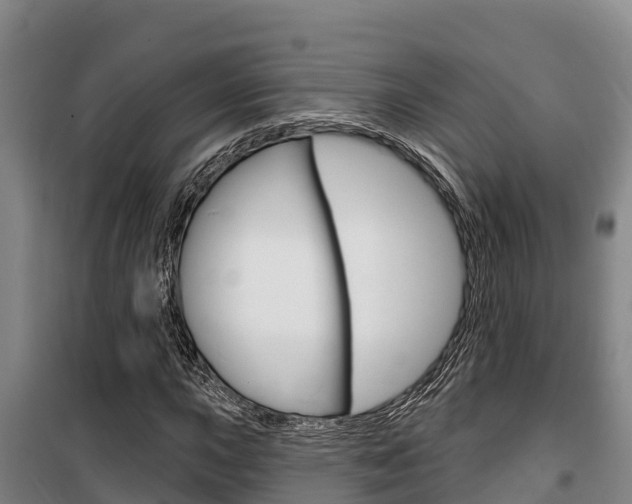 X0000100361015200806060818