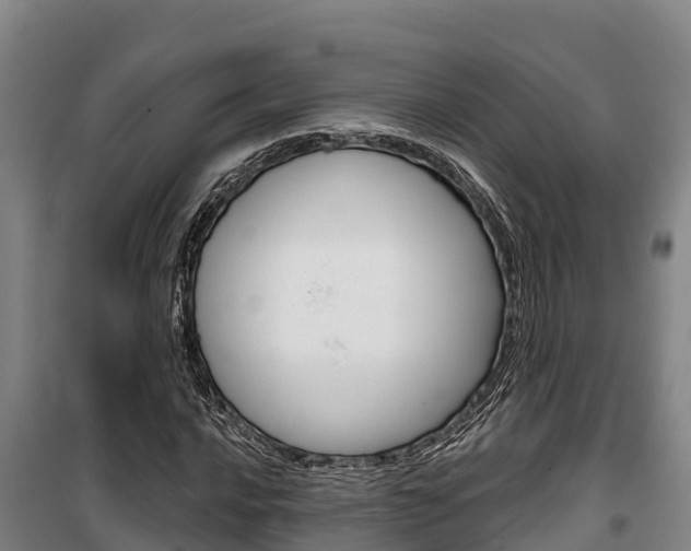 X0000100361016200806060818