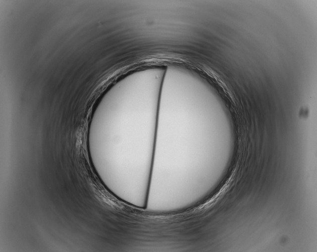 X0000100361017200806060818