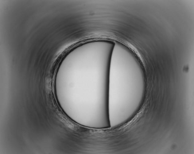 X0000100361019200806060818