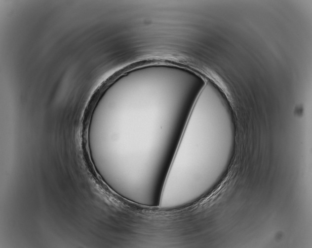 X0000100361020200806060818