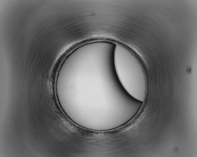 X0000100361022200806060818