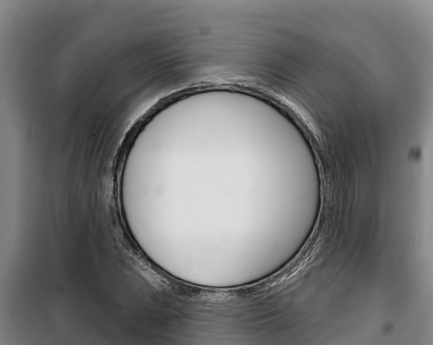 X0000100361023200806060818