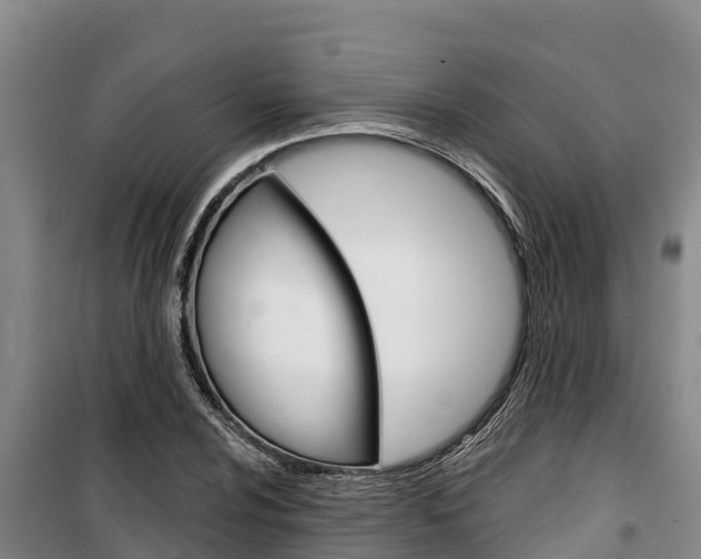 X0000100361024200806060818