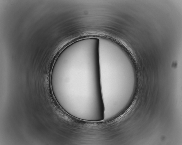 X0000100361025200806060818