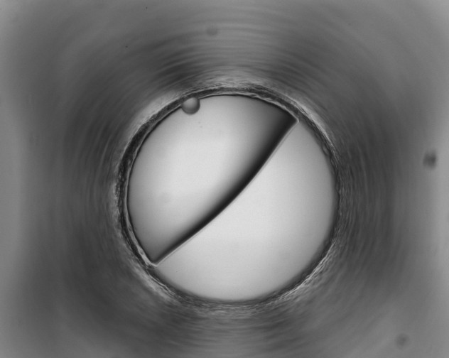 X0000100361026200806060818