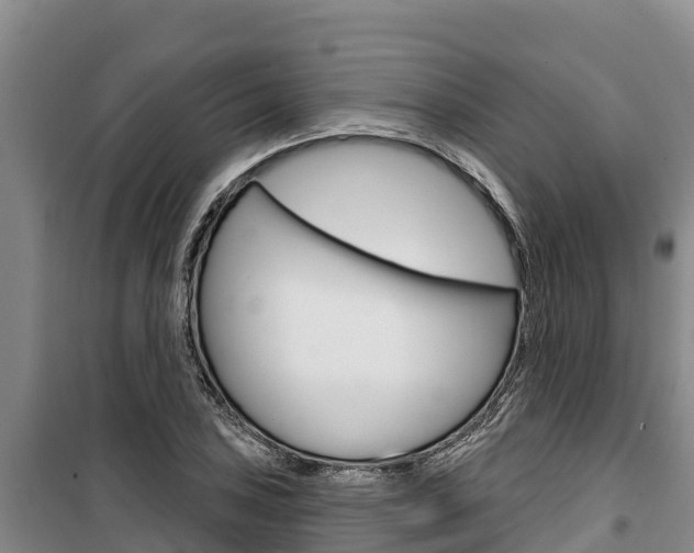 X0000100361027200806060818