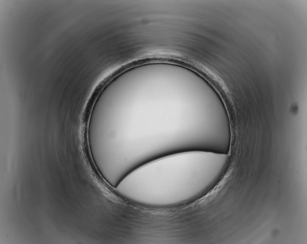 X0000100361029200806060818