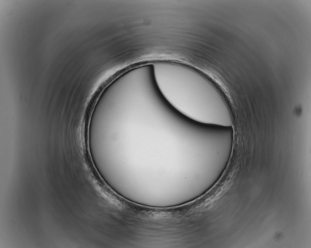 X0000100361030200806060818
