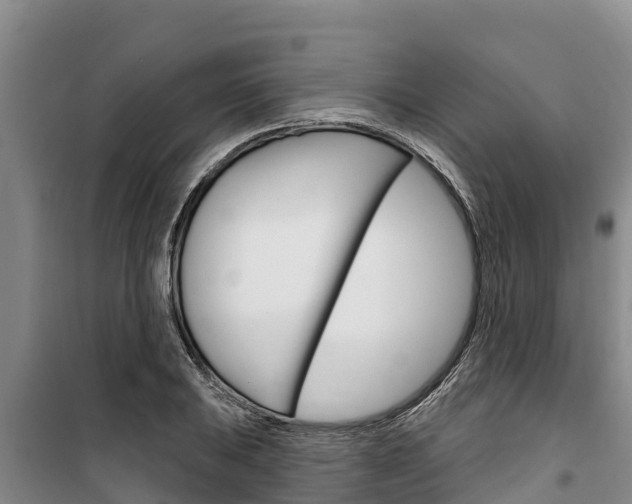 X0000100361031200806060818