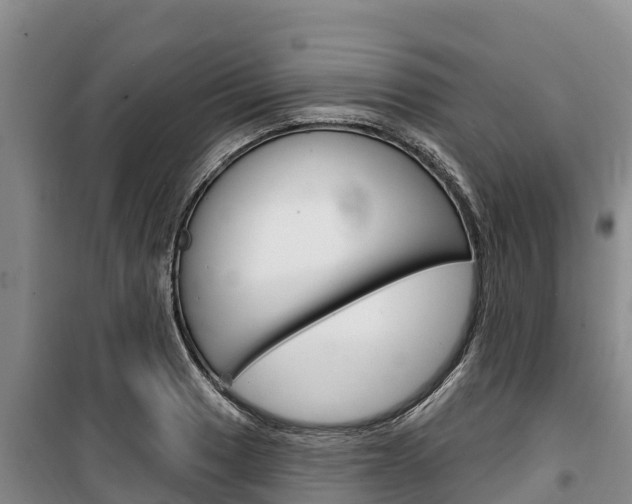 X0000100361033200806060818