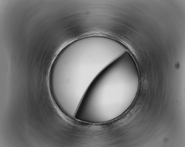 X0000100361034200806060818