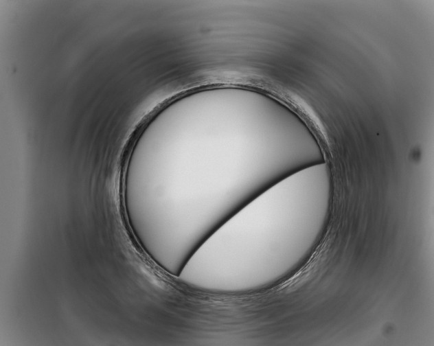 X0000100361035200806060818