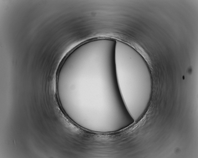 X0000100361036200806060818