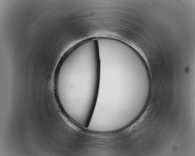 X0000100361037200806060818