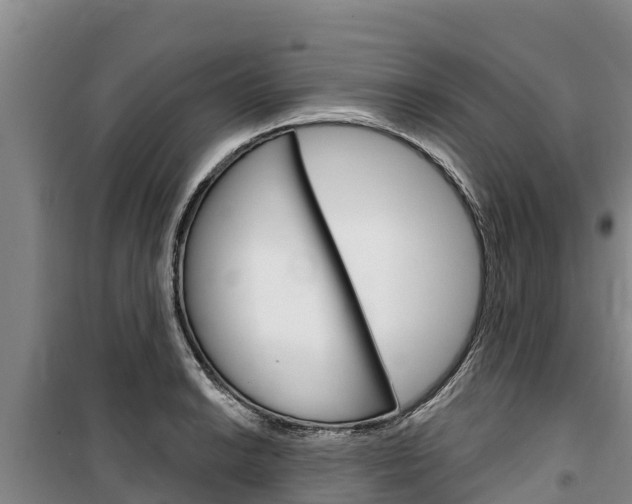 X0000100361038200806060818