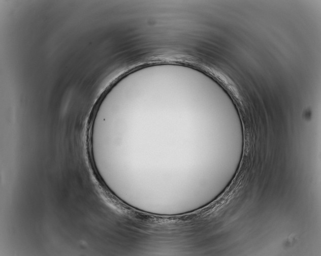 X0000100361039200806060818
