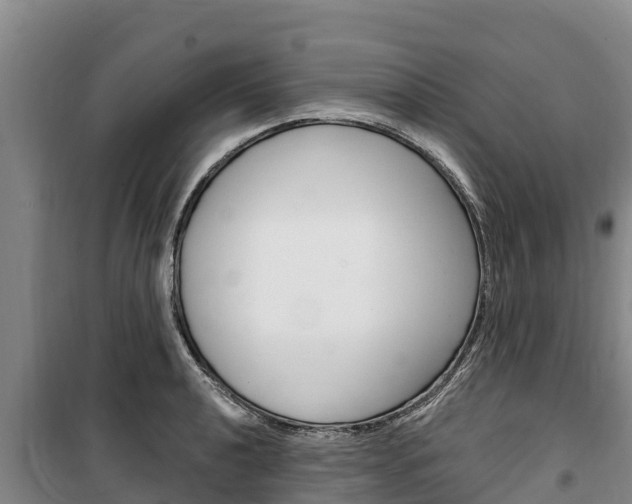 X0000100361040200806060818