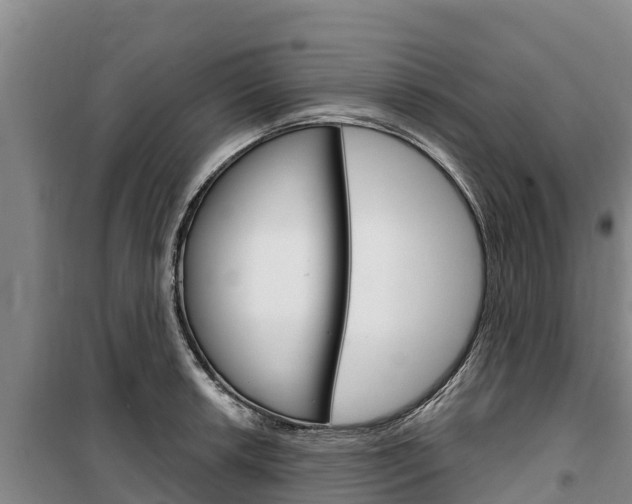 X0000100361042200806060818