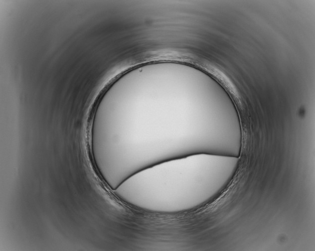 X0000100361043200806060818