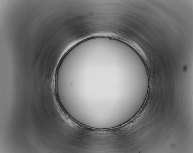 X0000100361044200806060818