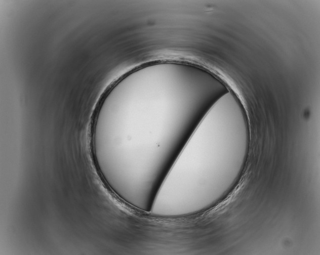 X0000100361045200806060818