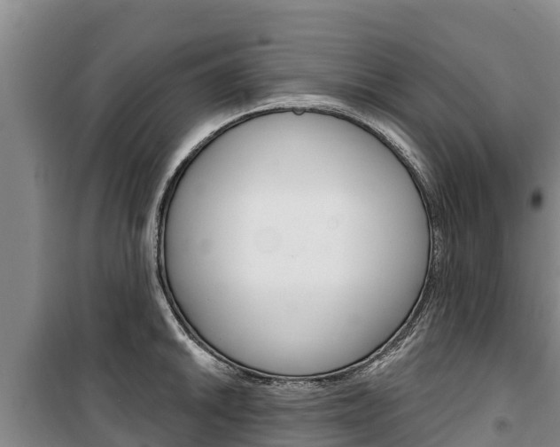X0000100361046200806060818
