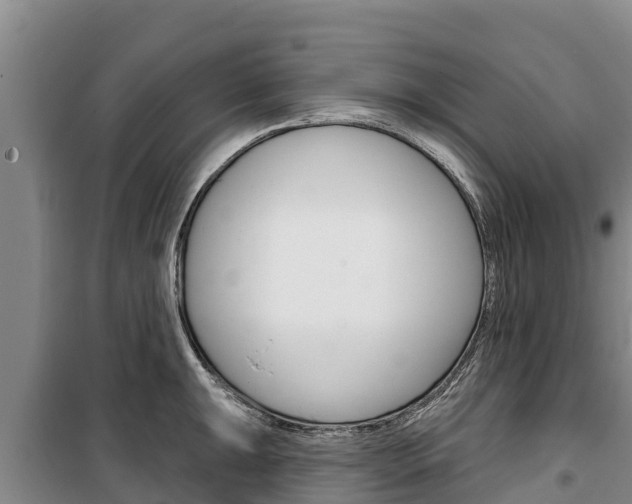 X0000100361047200806060819