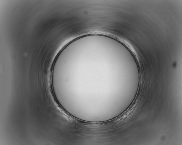 X0000100361048200806060819
