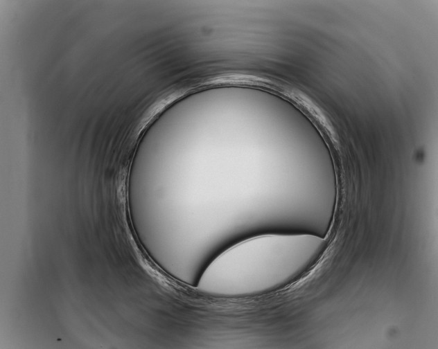 X0000100361049200806060819