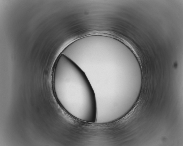 X0000100361050200806060819