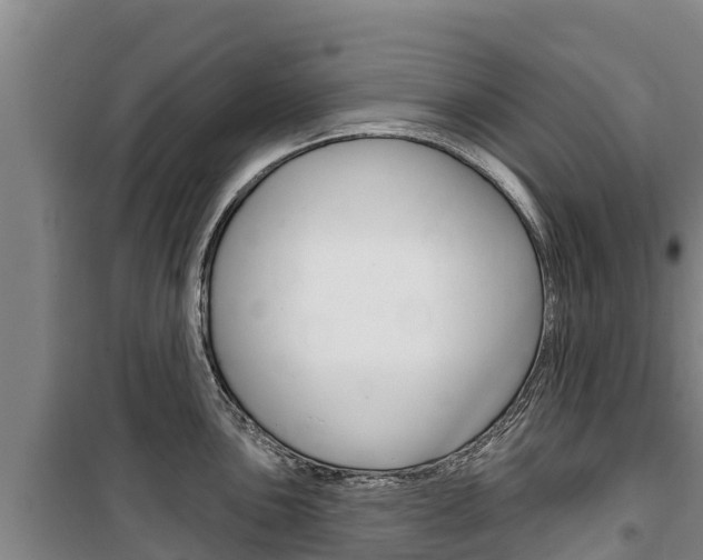 X0000100361051200806060819