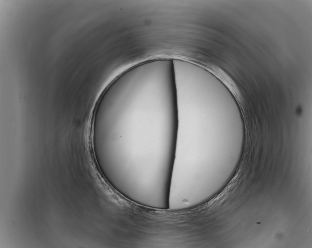 X0000100361052200806060819