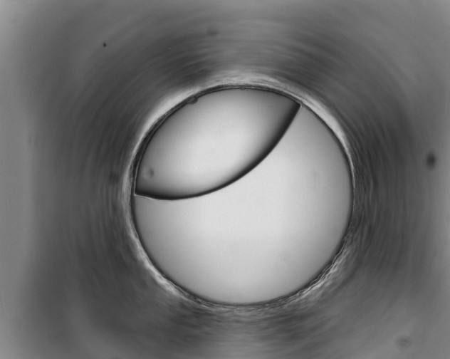 X0000100361053200806060819