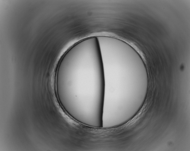 X0000100361054200806060819